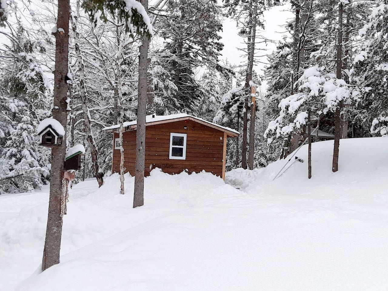 Una cabaña de madera rodeada de árboles cubiertos de nieve.