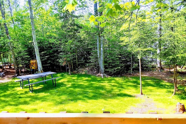 Backyard - View from the Patio