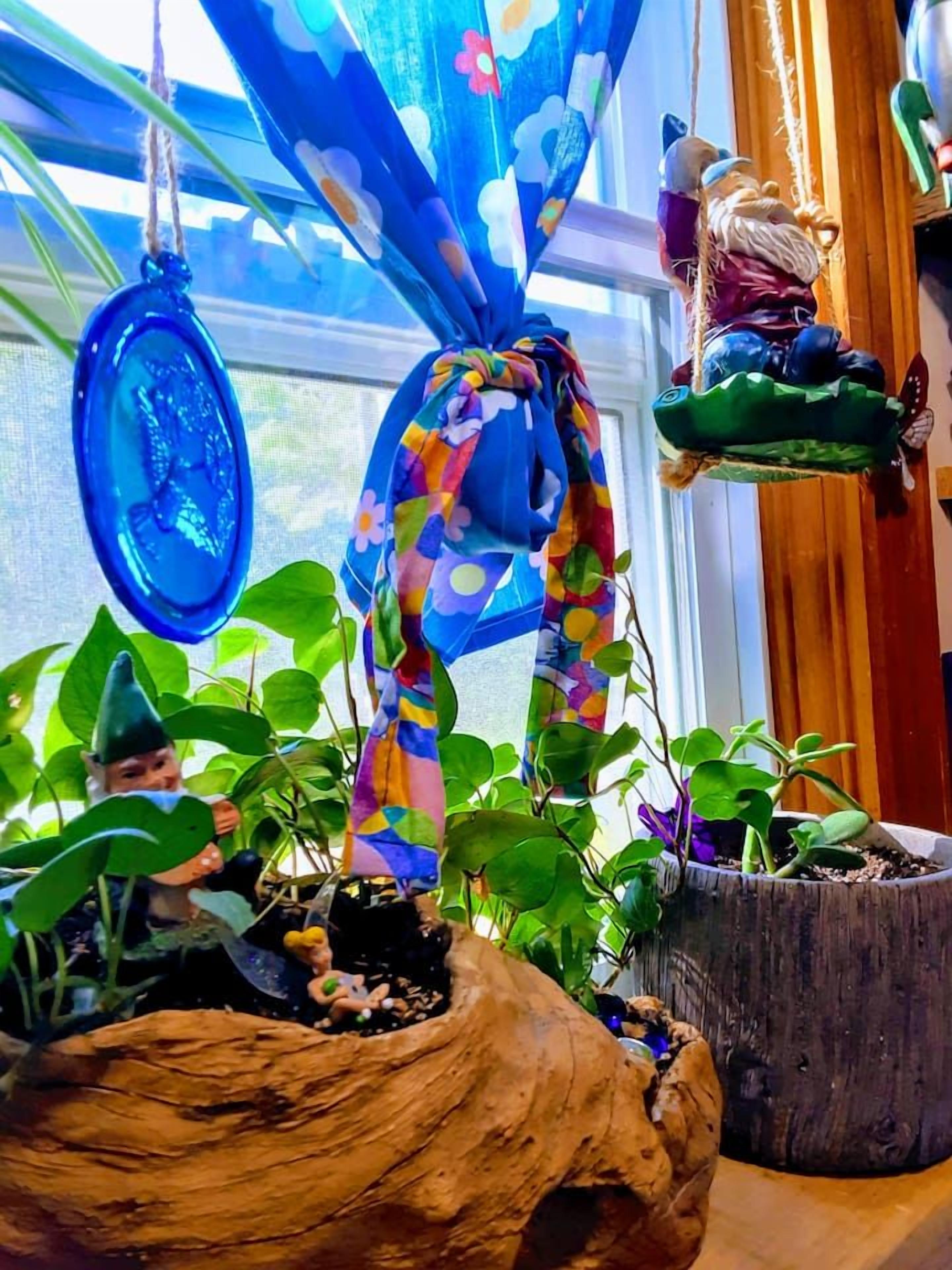 Een raam met gordijn, een blauw versiering aan de wand en planten in potten.