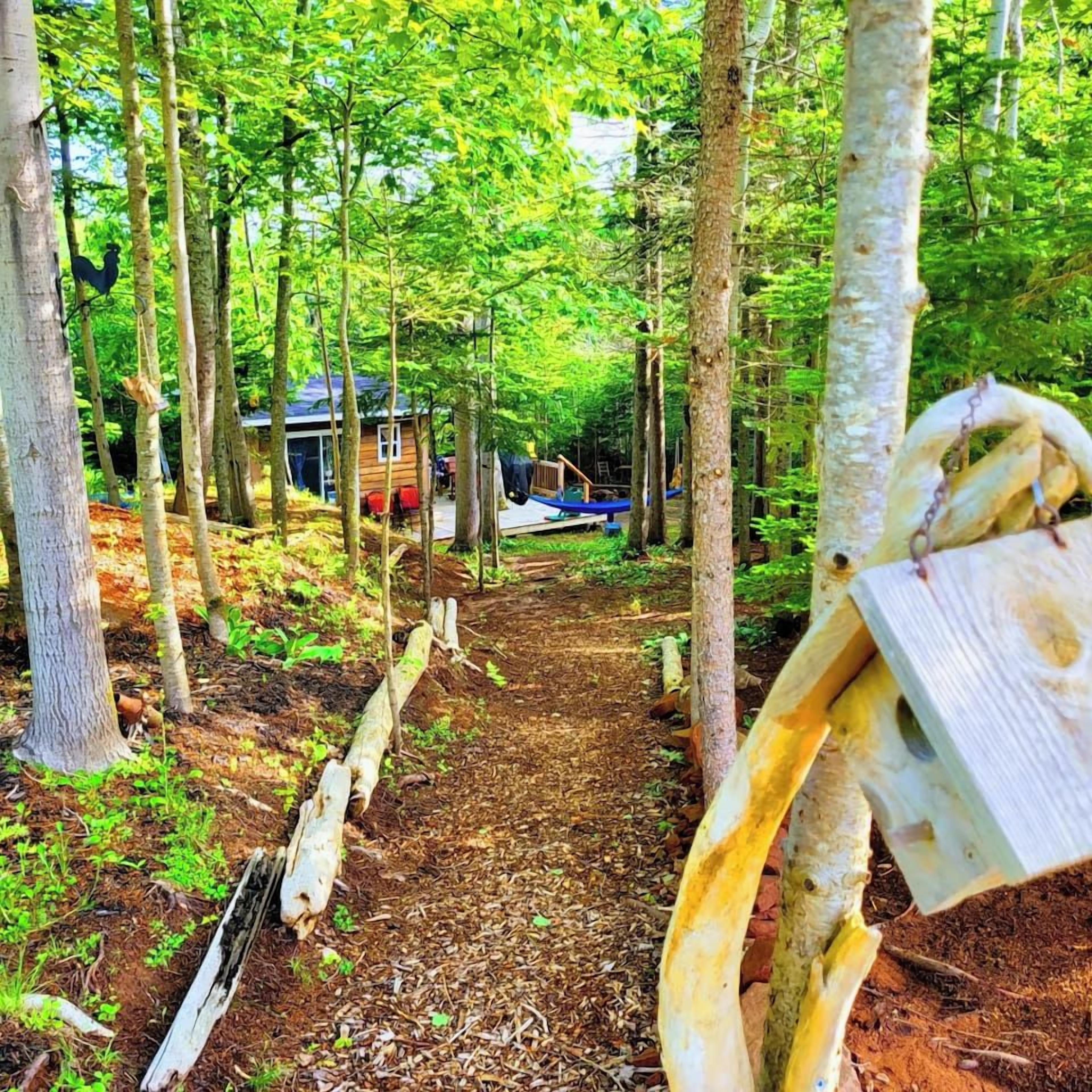 A forested area with a dirt path leading to a cabin.