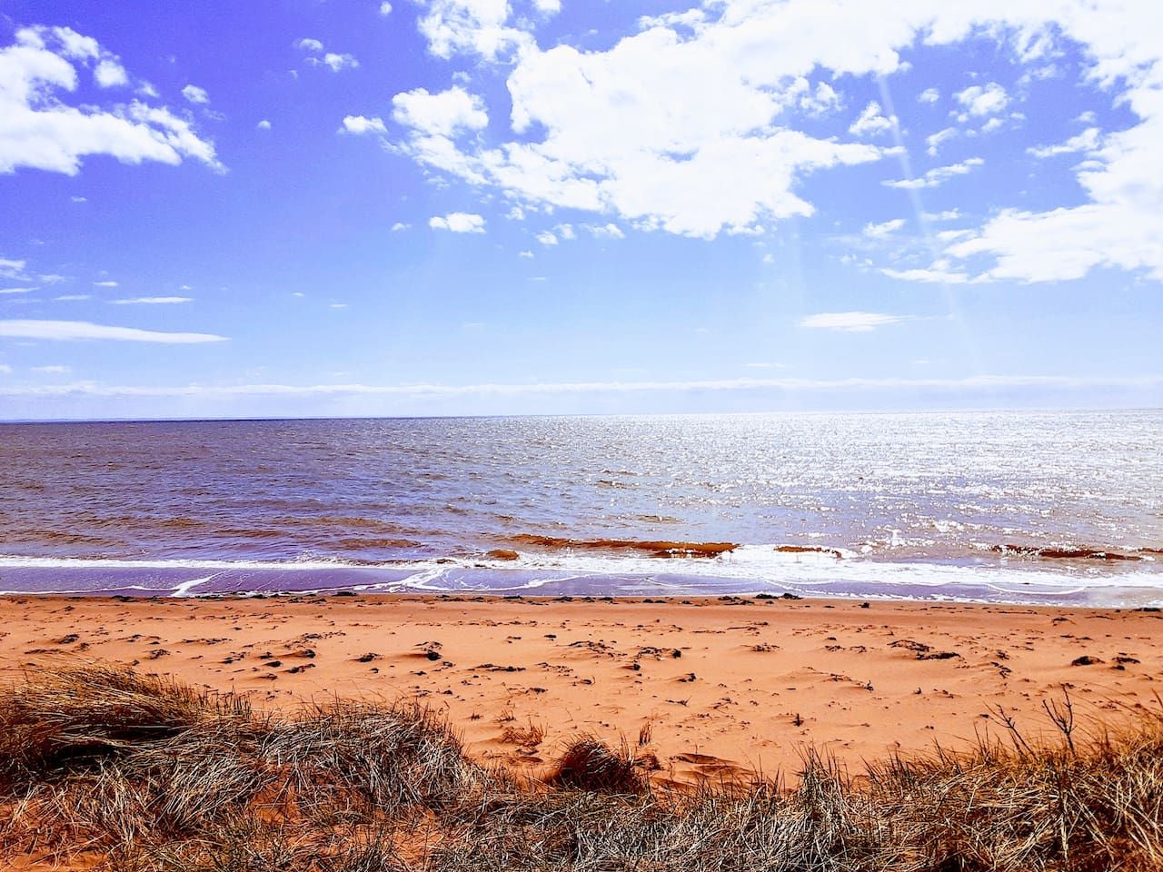 Una playa con cielo despejado y océano.
