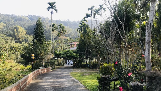 A paved pathway leading to a building with a red roof, surrounded by lush greenery and palm trees. - Hua Yi Homestay (Gukeng)