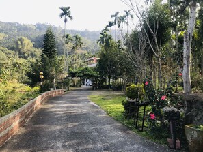 A paved pathway leading to a building with a red roof, surrounded by lush greenery and palm trees. - Hua Yi Homestay (Gukeng)