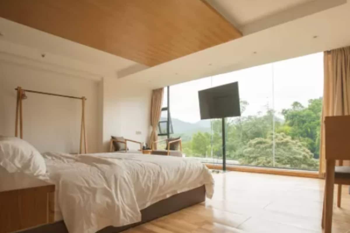 A bedroom with a large bed, a TV, and a view of the outdoors.