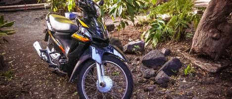 Una motocicleta negra estacionada en un camino de tierra rodeada de rocas y follaje.