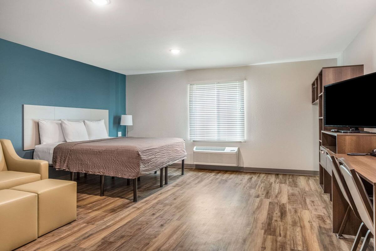 Memory-foam beds, desk, laptop workspace