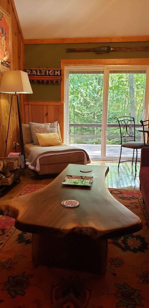 TV, fireplace, books