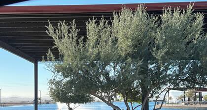 A pet-friendly cozy 4 bedroom home with a resort style pool in the backyard.