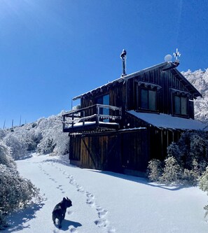 Exterior - Top of the Mountain Cabin on 40 acres with Amazing Views (Julian)