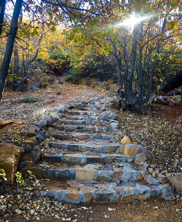 Property grounds - Top of the Mountain Cabin on 40 acres with Amazing Views (Julian)