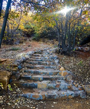 Staircase winds through a forested area, surrounded by trees with yellow and green leaves.