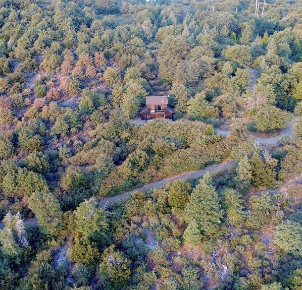 Una cabaña aislada rodeada de un bosque denso.