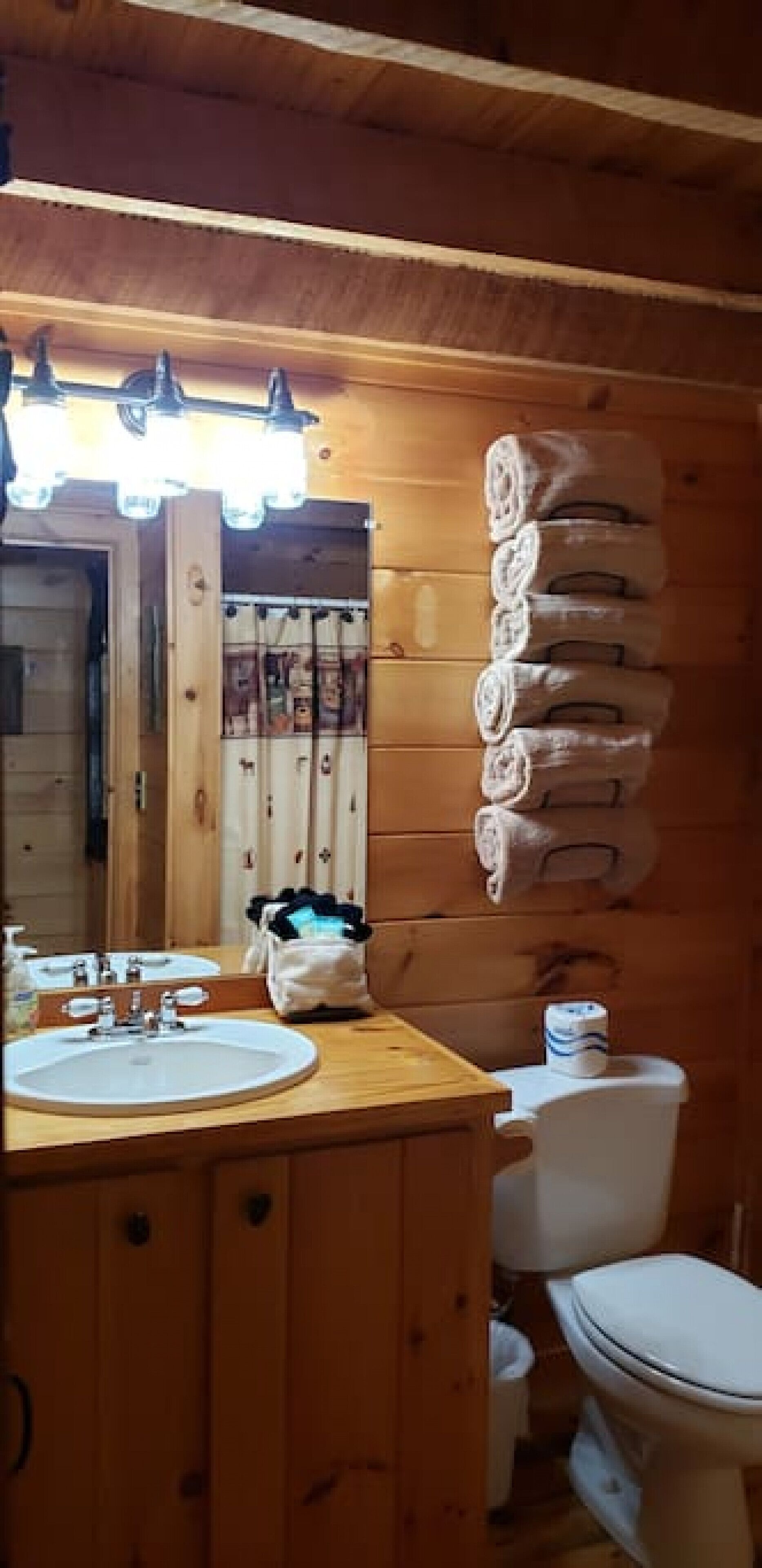 Une salle de bain rustique, aménagée dans une cabane en bois, avec un lavabo, un miroir et des toilettes.