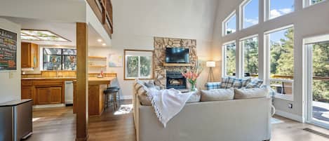 Smart TV, fireplace, Netflix, books