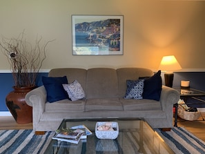 Smart TV, DVD player, books, offices