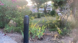 A garden area with a bollard, various plants, and a building in the background.