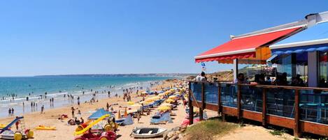 Lettini da mare