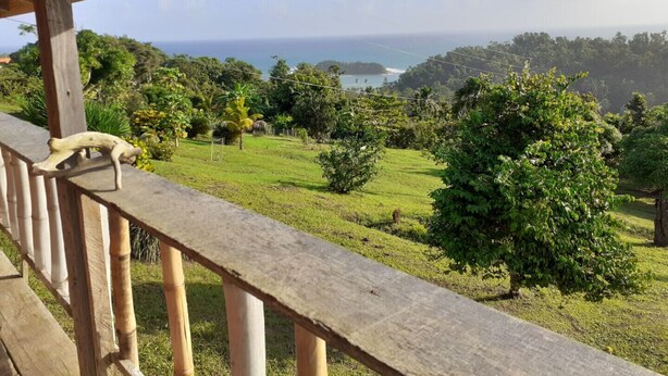 Un balcón de madera con vistas a un paisaje verde exuberante y al océano.