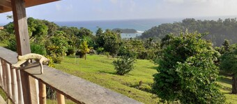 Kiki's Nature Cabin - studio style cottage with a stunning view