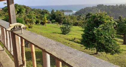 Kiki's Nature Cabin - studio style cottage with a stunning view