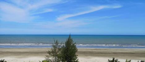 Una playa con palmeras y un cielo azul despejado.
