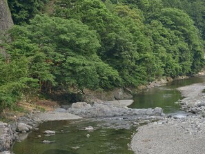 Un río serpentea a través de una zona boscosa con orillas rocosas y vegetación verde exuberante.