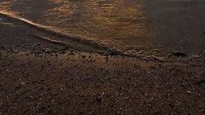 A sunset over a calm body of water with a shoreline in the foreground.