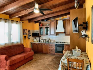 TV, fireplace, books