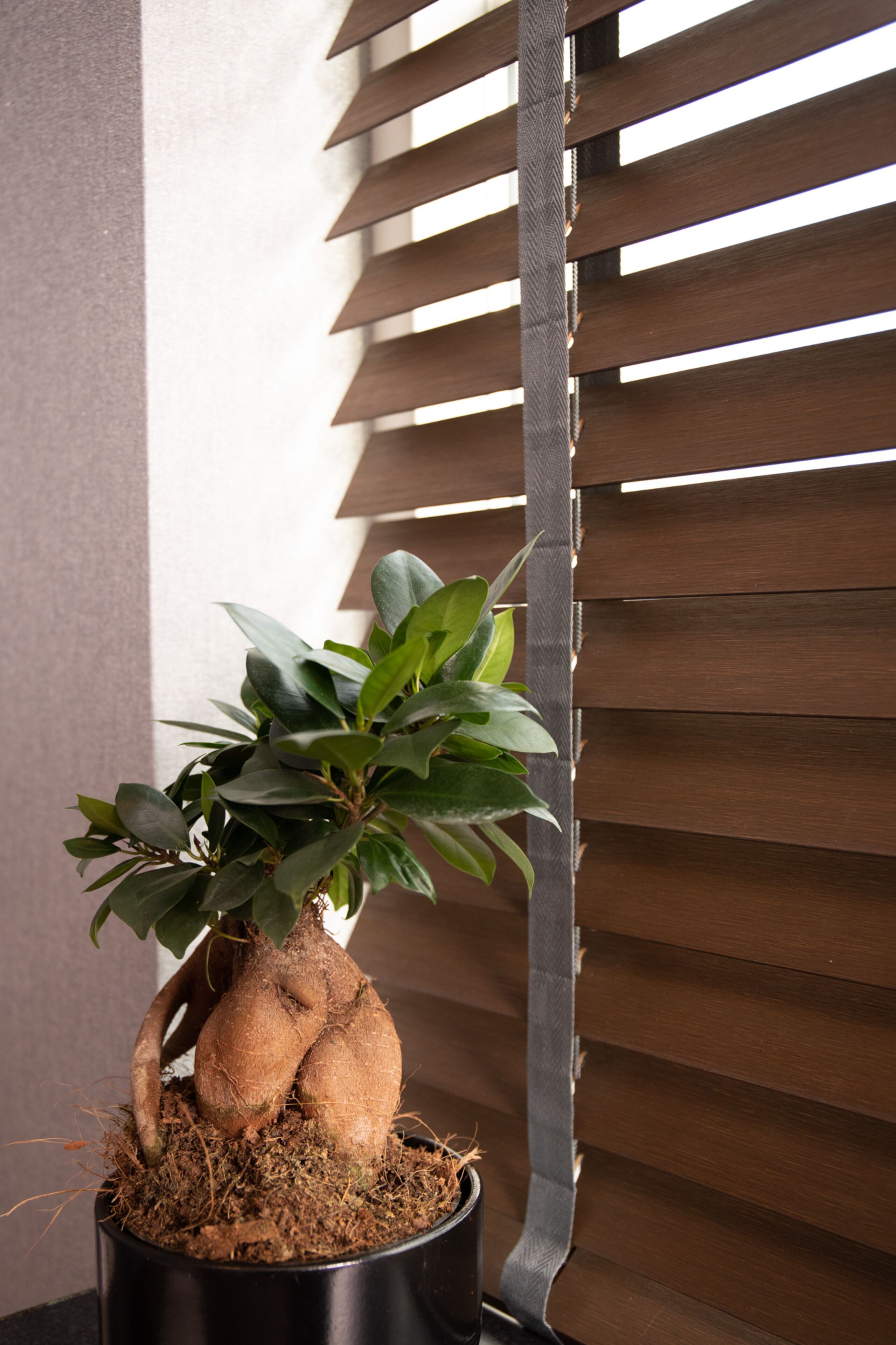 Superior trippelrum - 1 queensize-säng med bäddsoffa - badkar | Rumsbekvämlighet