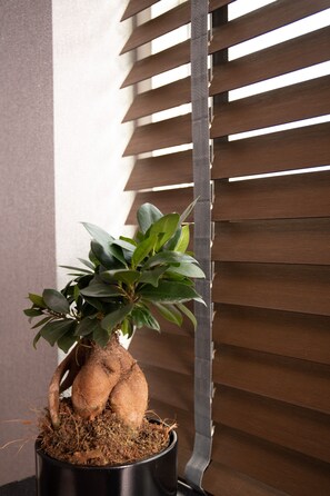 高级三人房, 1 张大床和 1 张沙发床, 浴缸 | 客房服务设施