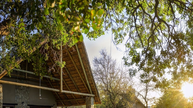 A poolside area with a covered seating area, stone walls, and a swimming pool. - Leopard's Lair Bush Lodge (Hoedspruit)