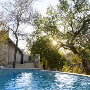 Outdoor pool, sun loungers - Leopard's Lair Bush Lodge (Hoedspruit)