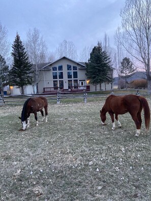 Property grounds - Entire River Ranch House, Mtn Views, Park City, Ski, Horses, Hot tub, 18 acres (Kamas)