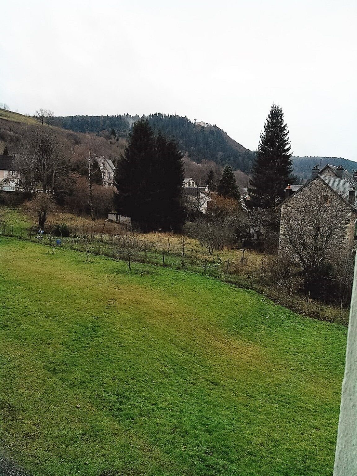 A rural landscape with houses, a large tree, and a hill in the background.