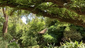 Un jardin luxuriant avec un belvédère et une maison à moitié dissimulée par les arbres.