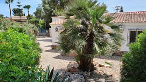 A garden with a palm tree, a white building with a tiled roof, and various shrubs. - Villa Bienestar Jávea with pool (Xàbia)