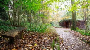 Exterior - The Log Cabin (Gloucester)