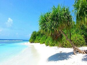 A beach with white sand, clear turquoise water, and lush green vegetation. - Charming Holiday Lodge (Hulhudhoo)