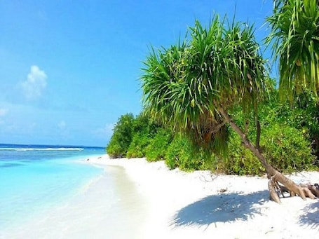 Sulla spiaggia, sabbia bianca, teli da spiaggia, pesca. Charming Holiday Lodge