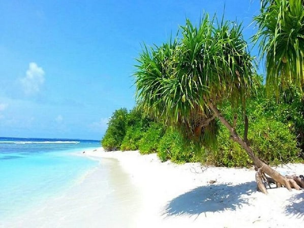On the beach, white sand, beach towels, fishing - Charming Holiday Lodge (Hulhudhoo)