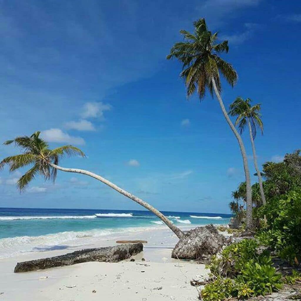 Una spiaggia con sabbia bianca, palme e l'oceano.