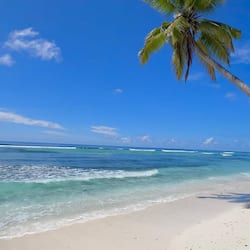 On the beach, white sand, beach towels, fishing