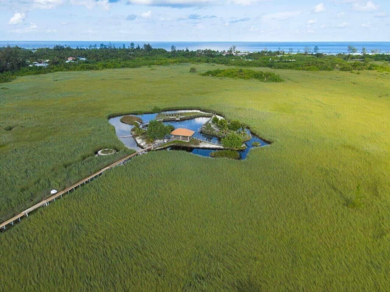 Vista aérea de una propiedad costera con una construcción pequeña, un muelle y una masa de agua.