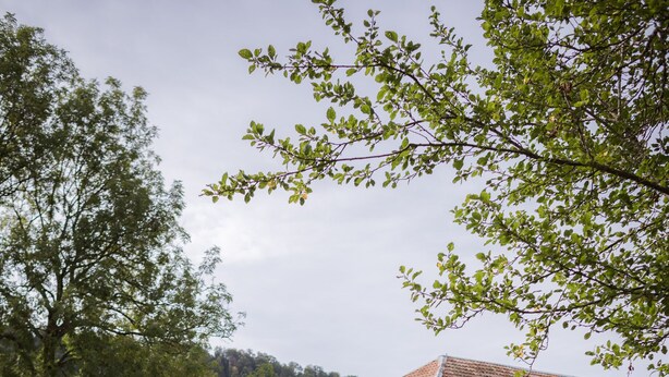 A rustic stone building with a tiled roof, surrounded by a lush garden with various flowers and a large tree. - Hotel Le Morimont (Oberlarg)