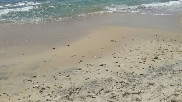 A beach with clear blue water and a sandy shore.