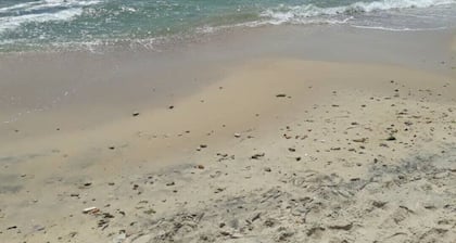 Bungalow 80 m from Nabeul beach