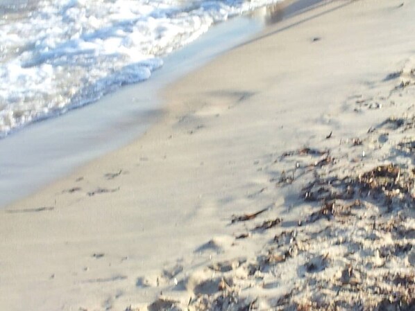 Une plage de sable fin où les vagues douces viennent lécher le rivage.