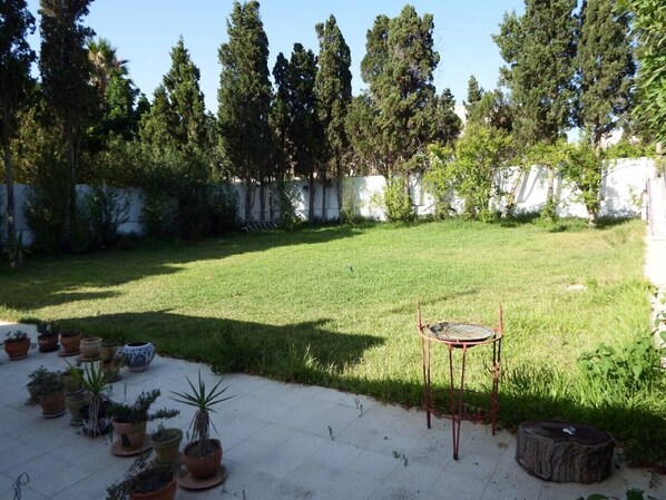 A backyard with a grassy lawn, a metal table, and various potted plants.