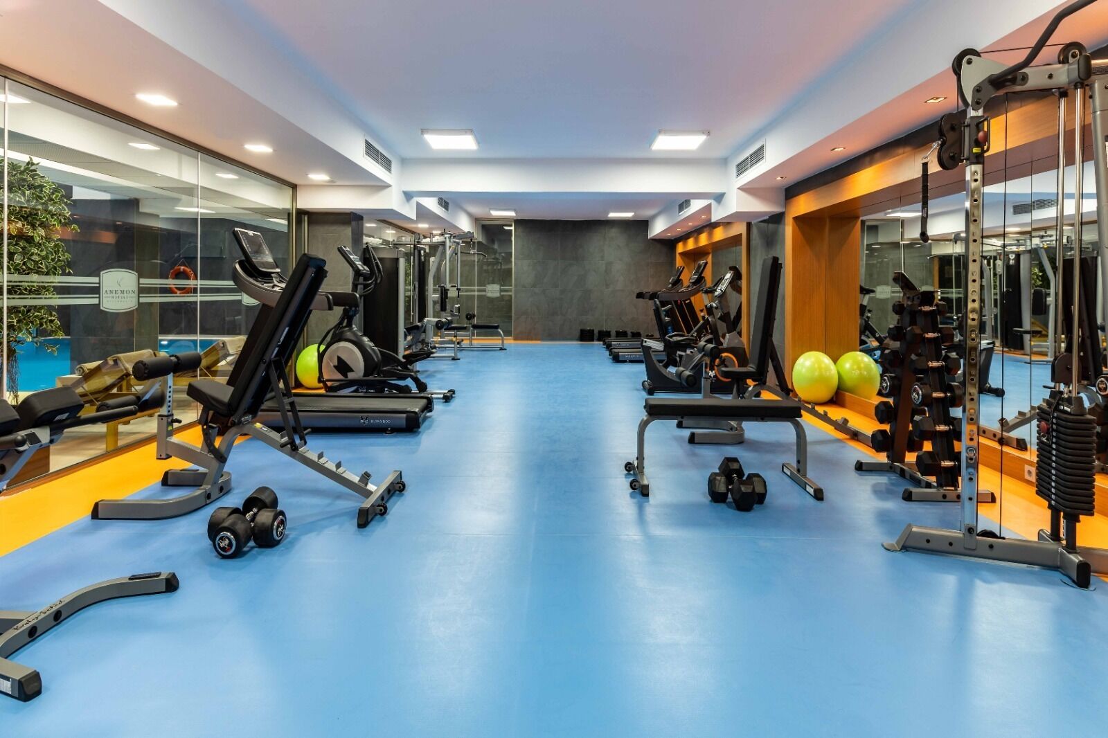 A modern gym with cardio machines, weightlifting equipment, and exercise balls.
