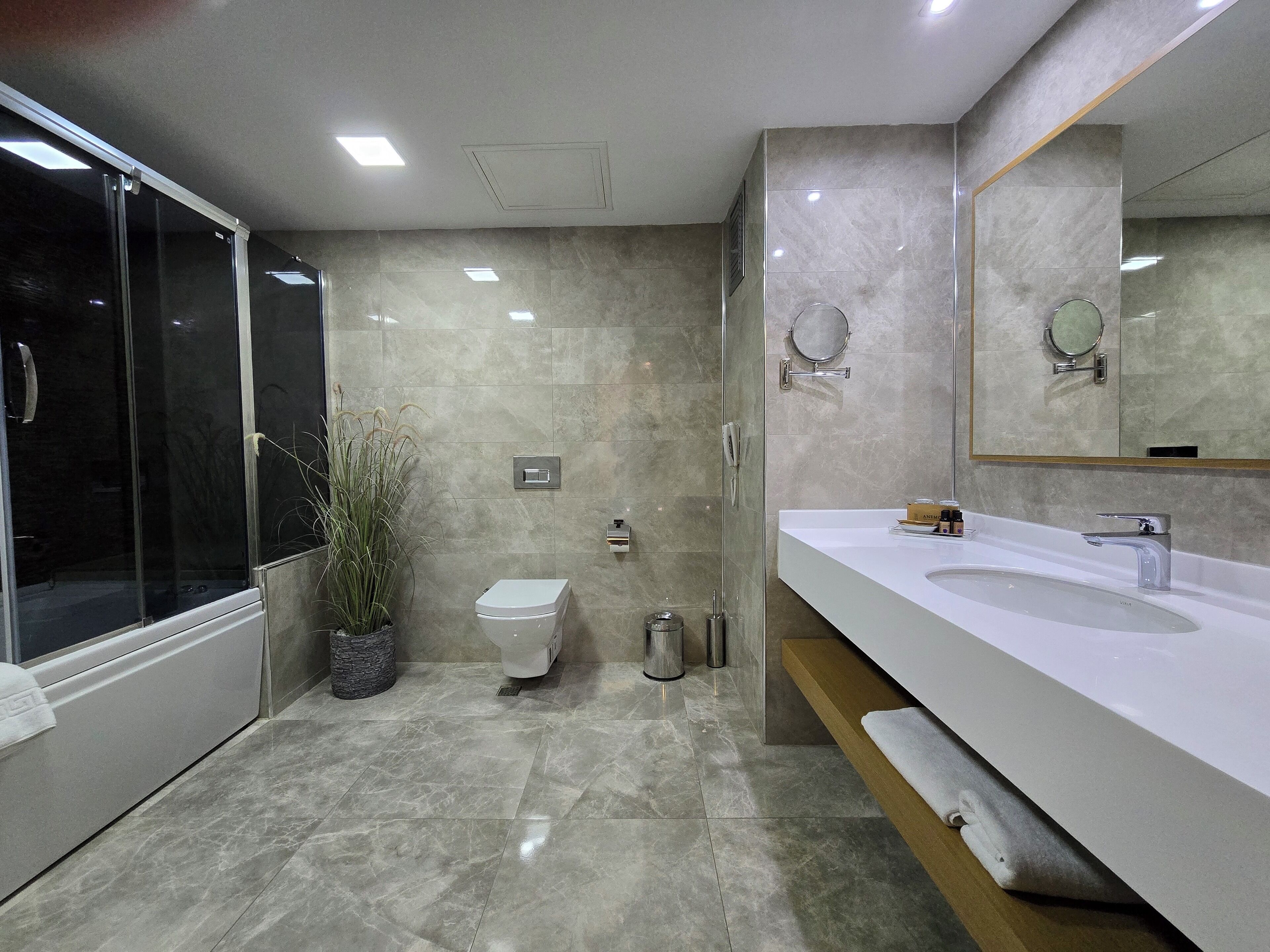 A modern bathroom with a glass shower enclosure, a toilet, a sink with a vanity, and a large mirror.